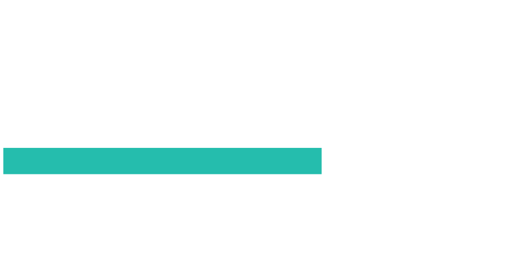 DSP Mutual Fund