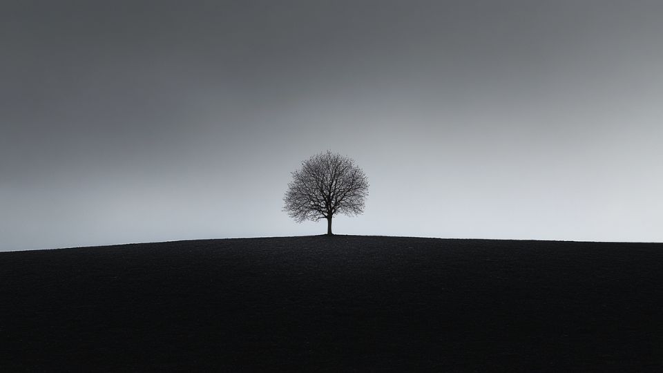 stand-alone-safal-niveshak