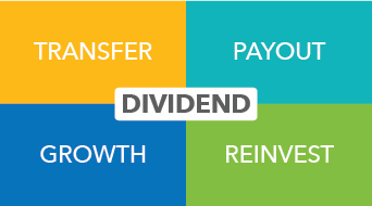 What are Dividend Payout, Dividend Growth, Dividend Reinvestment and Dividend Transfer?