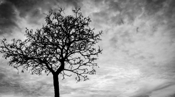 What Happens to Your Investments if You Pass Away? Nominee Rules
